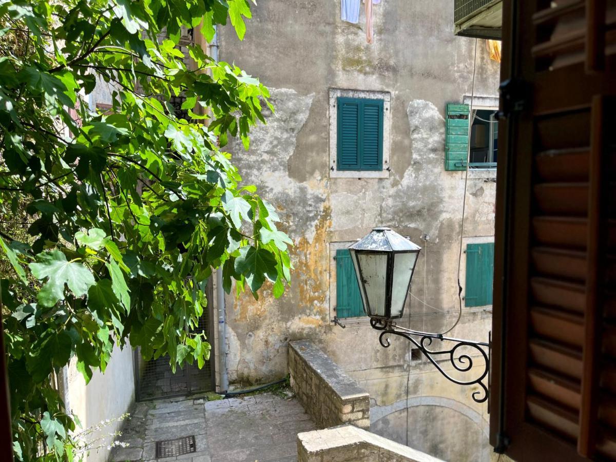 South Gate Apartments 262 Κότορ Εξωτερικό φωτογραφία